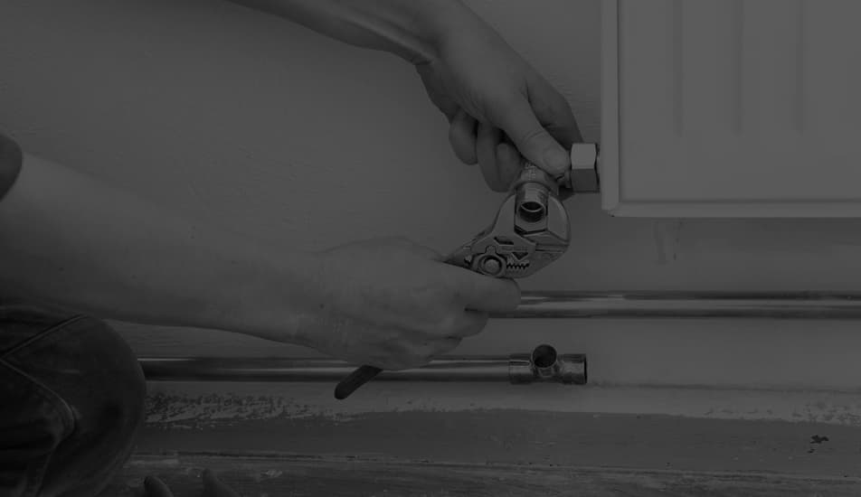 Expertos profesionales a su servicio